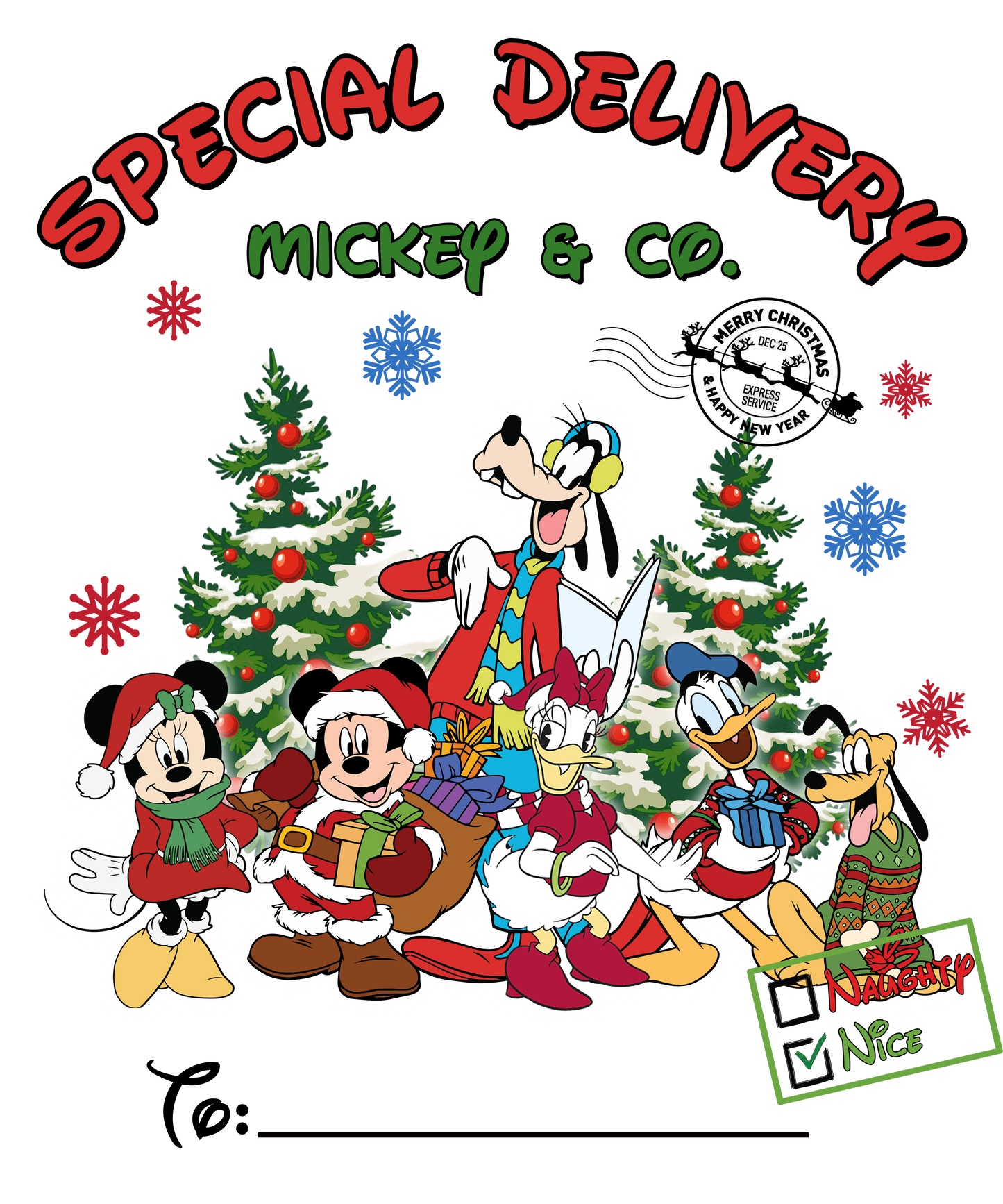SANTA SACKS